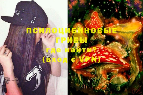 Альфа ПВП Алексин