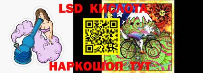 гидропоника Кингисепп