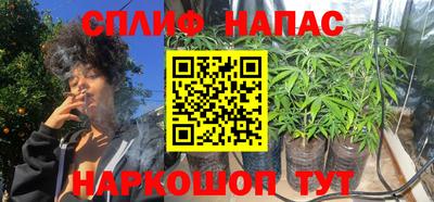 гидропоника Кингисепп