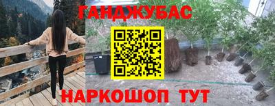 спиды Кинель