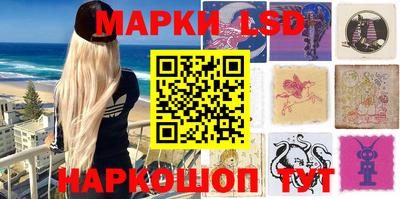 гидропоника Кингисепп