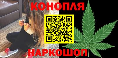 гидропоника Кингисепп