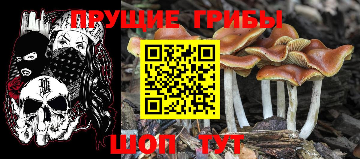 КОКАИН  Марихуана  Краснознаменск  Экстази  ГАШИШ  Вход с VPN  Мефедрон кристаллы 
