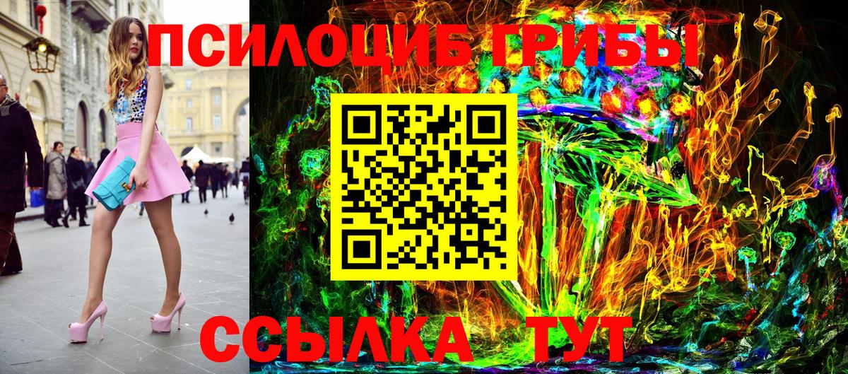 Краснознаменск  Галлюциногенные грибы Psilocybine cubensis  Вход с VPN 