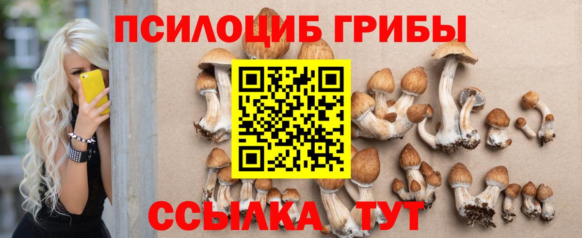 Псилоцибиновые грибы Magic Shrooms Краснознаменск